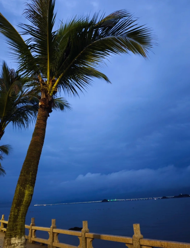 How to Visit Lovers' Road: Insider Tips for a Perfect Stroll