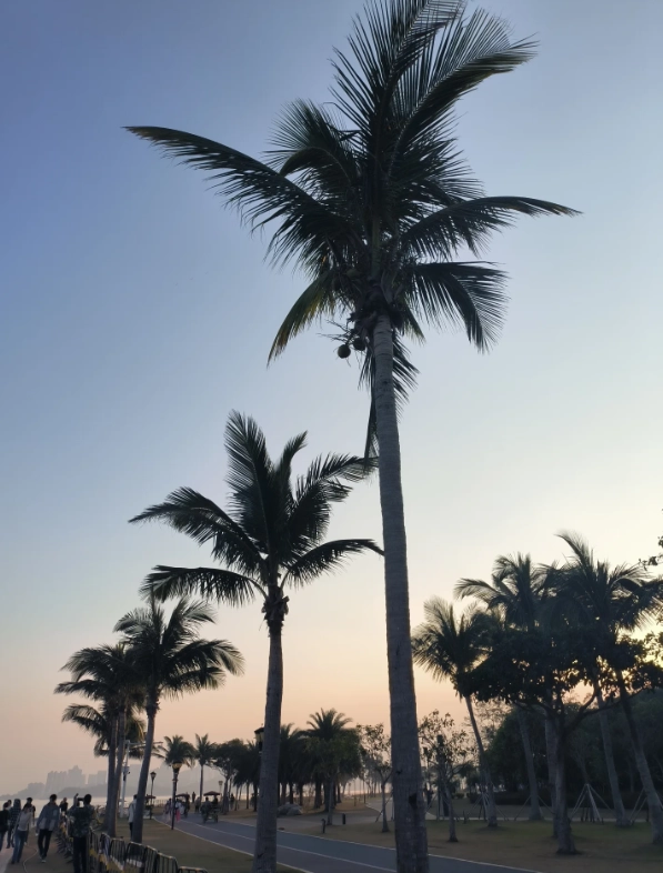 best beaches in Zhuhai best beaches in Zhuhai
