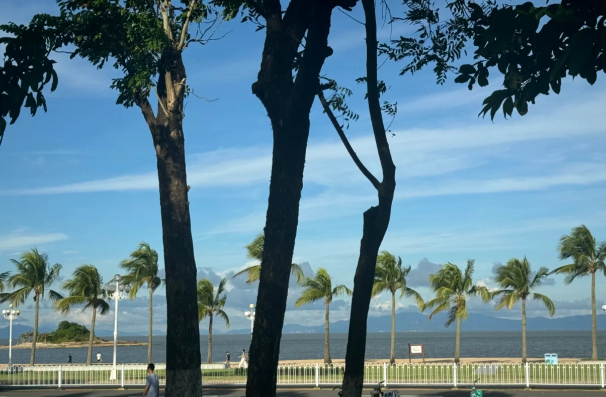 Zhuhai weather by month Zhuhai weather by month