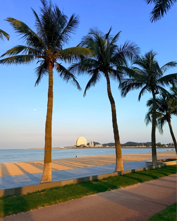 budget-friendly Zhuhai budget-friendly Zhuhai