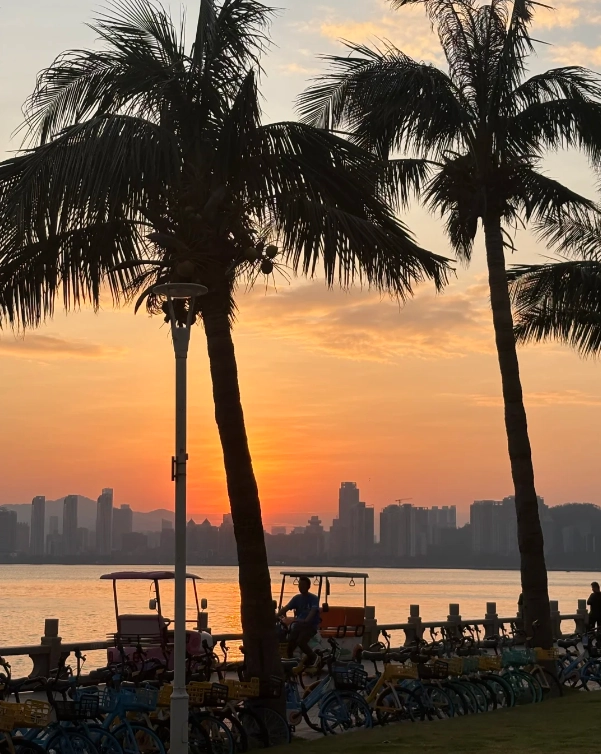 Lovers' Road Xiamen Lovers' Road Xiamen