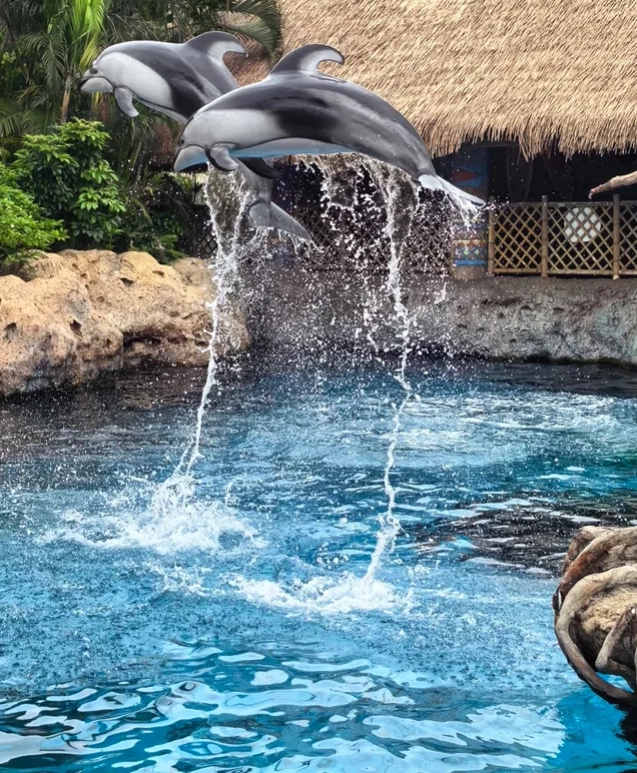 Chimelong Ocean Kingdom best time to visit Chimelong Ocean Kingdom best time to visit