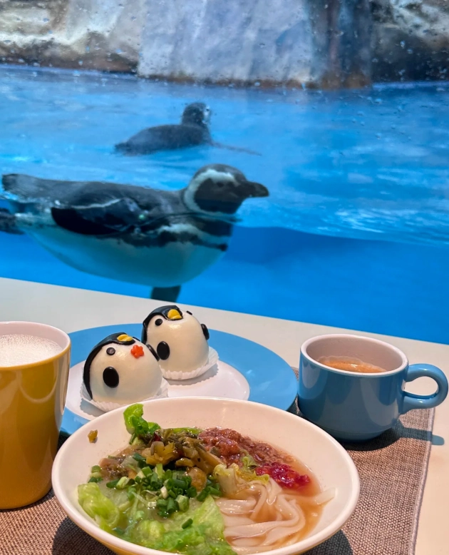 where to stay in Zhuhai for Chimelong where to stay in Zhuhai for Chimelong