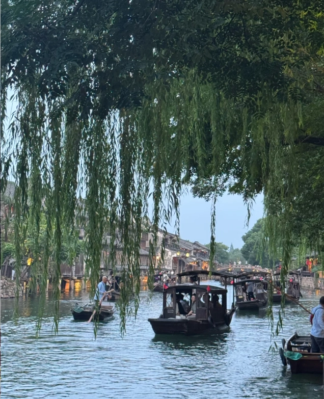 wuzhen water town english guide