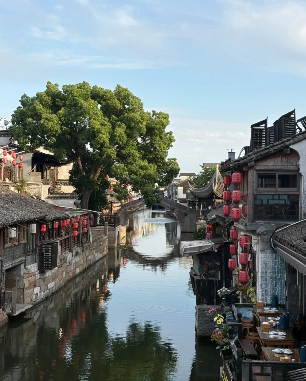 Xitang Ancient Town Half-Day Tour: Skip the Crowds with Pro Tips