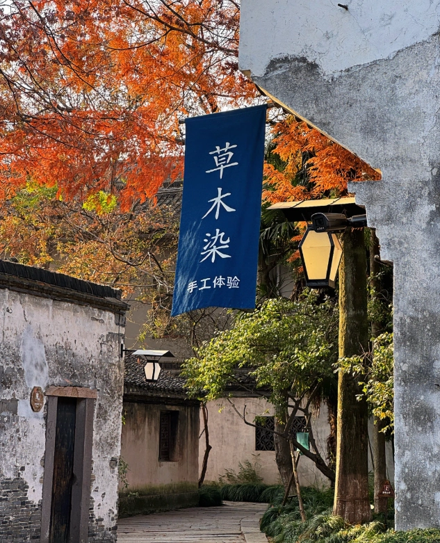 Jiaxing autumn attractions Jiaxing autumn attractions