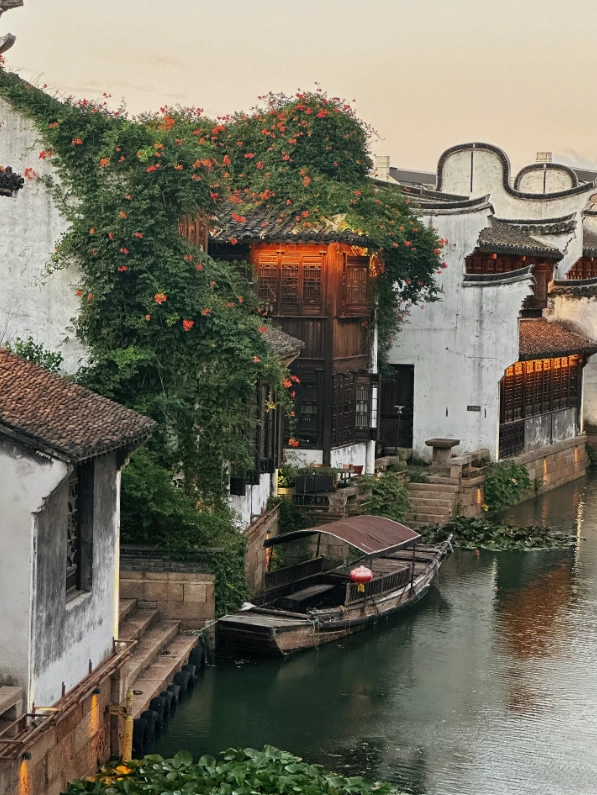 Jiaxing Winter Itinerary: Explore Water Towns Without Crowds