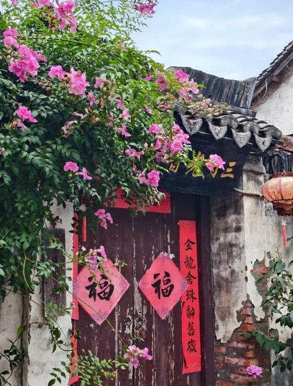 Jiaxing private tour guide