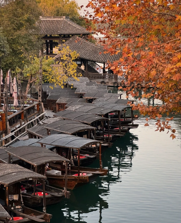 Jiaxing Autumn Itinerary: 3 Days of Canals and Harvest Delights