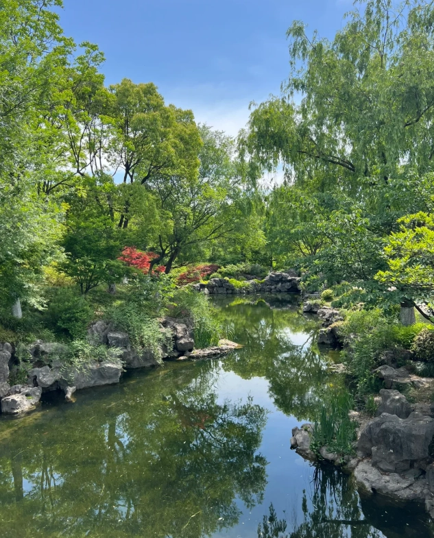 South Lake Jiaxing: Best Tips for a Smooth Visit