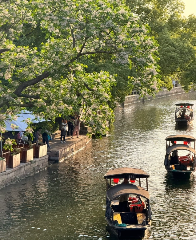 Jiaxing local guide Jiaxing local guide
