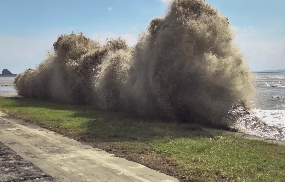 Haining tide Haining tide