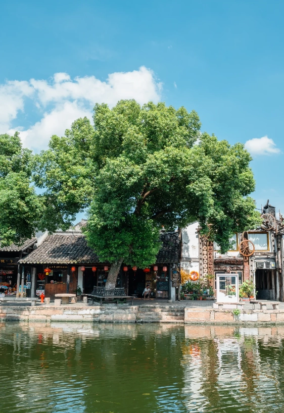 Jiaxing water town winter Jiaxing water town winter