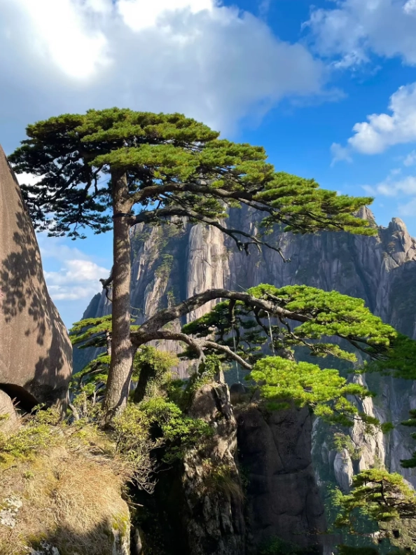 Chinese forest park tips