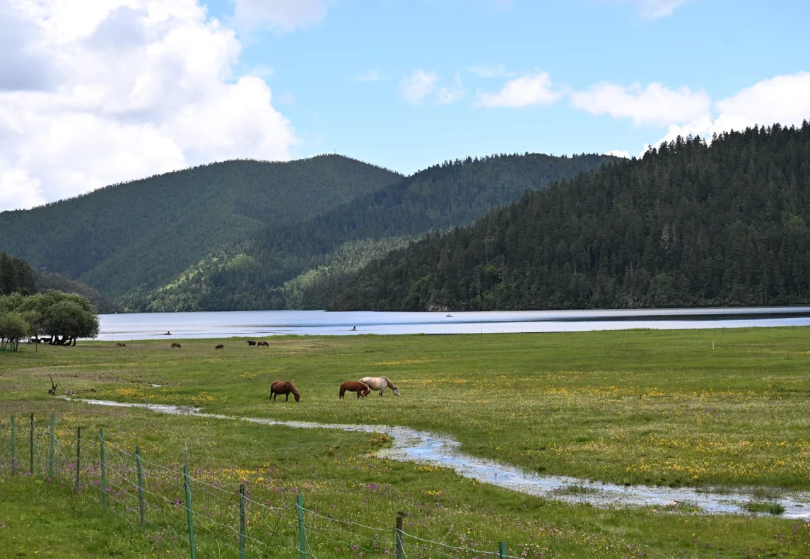 Shangri-La 4-Day Itinerary: Skip the Tourist Traps & Altitude Sickness