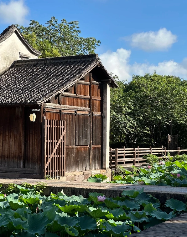 things to do in Wuzhen
