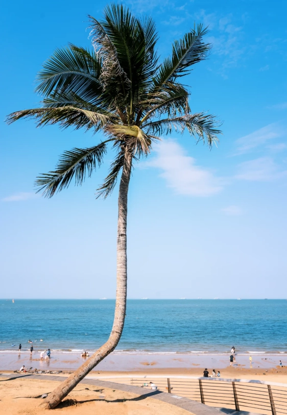 Haikou travel guide autumn Haikou travel guide autumn
