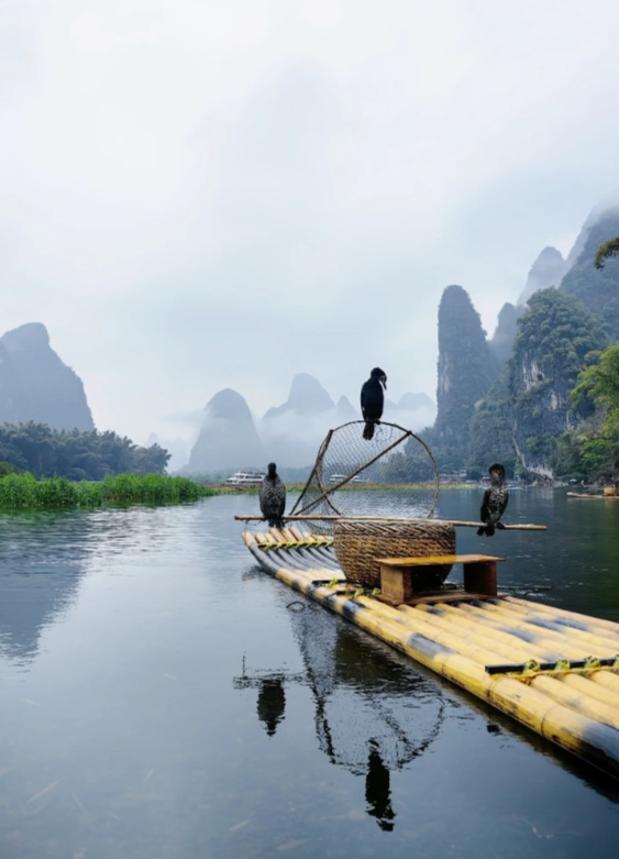 Li River cruise booking