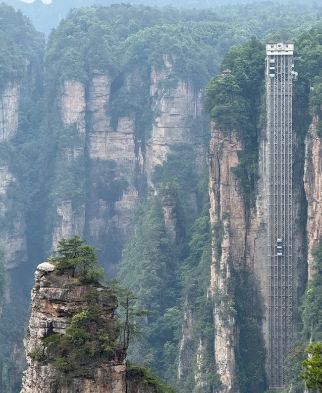 Zhangjiajie National Forest Park tickets