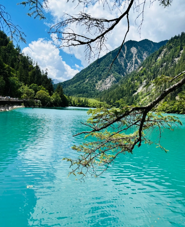 Shennongjia forest park summer