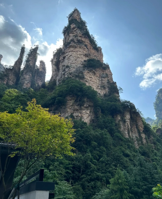 best forest parks in China summer