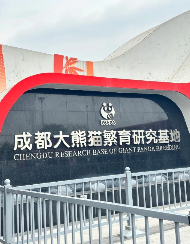 Chengdu Panda Base: Skip the Crowds & See Pandas Up Close