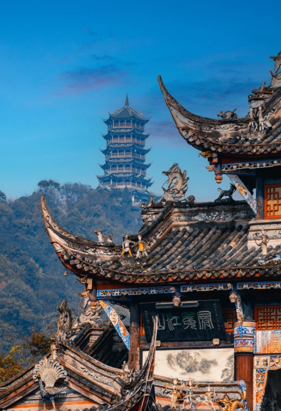 Chengdu vs Chongqing: Which City Wins for Food, Pandas & Nightlife?