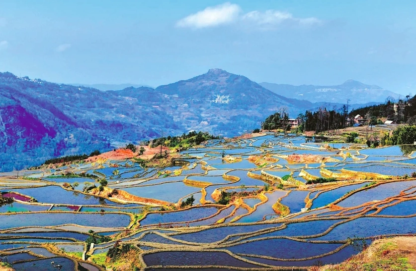 best months for rice terraces China best months for rice terraces China