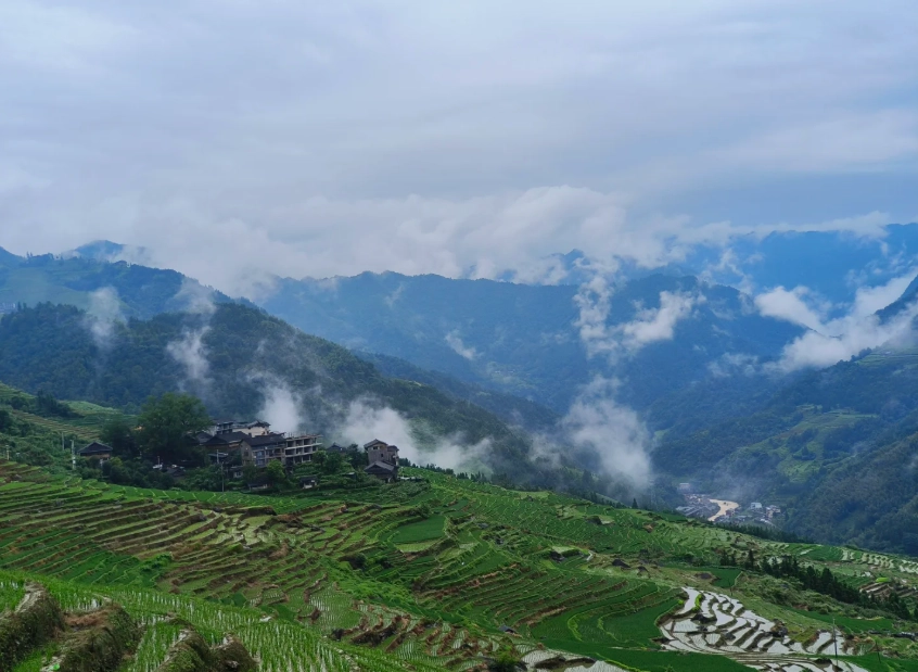 China Rice Terraces Best Time to Visit: Avoid Crowds & Capture Magic