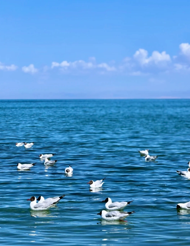best summer places in China