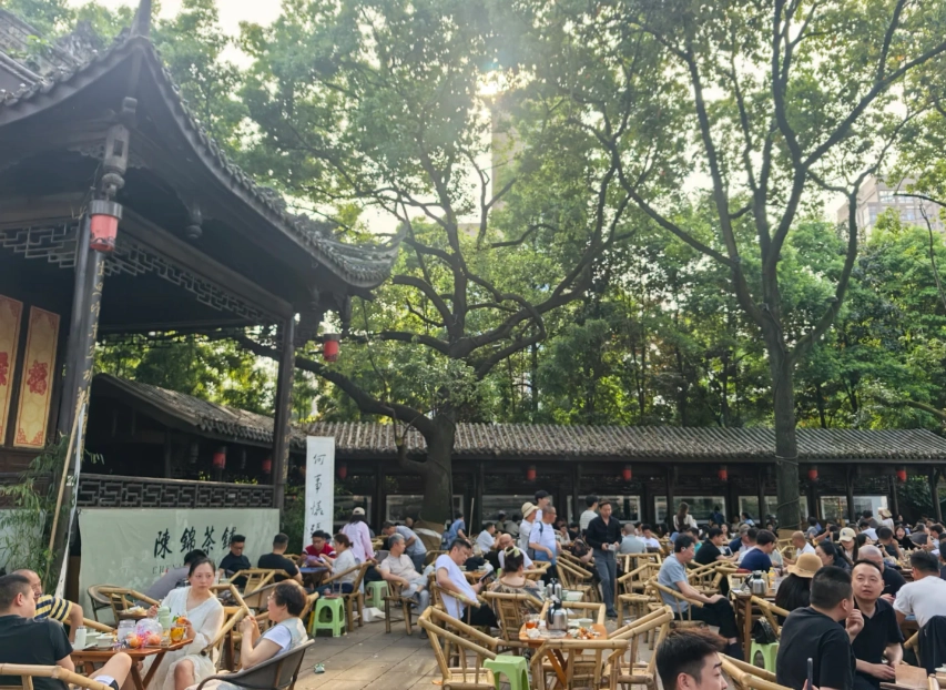 Chinese tea culture Chinese tea culture