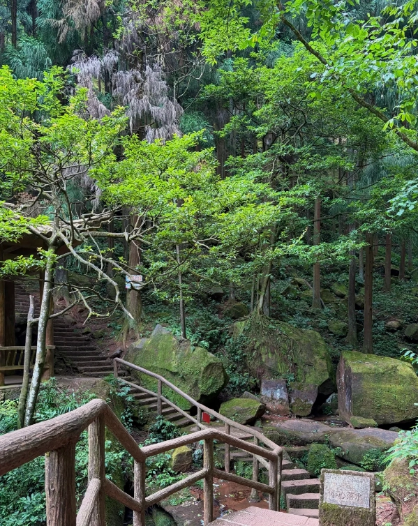 Chongqing nature escape
