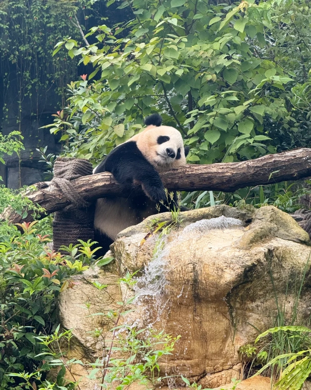 China vacation spots