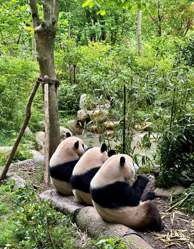 best places to visit in china