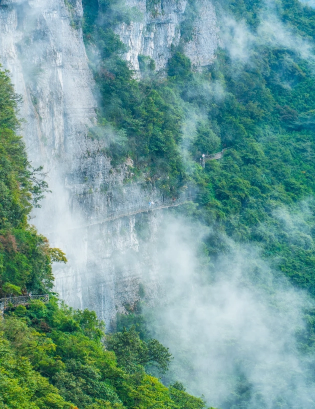 Chongqing Jinfo Mountain: Secret Hiking Trails & Booking Tips