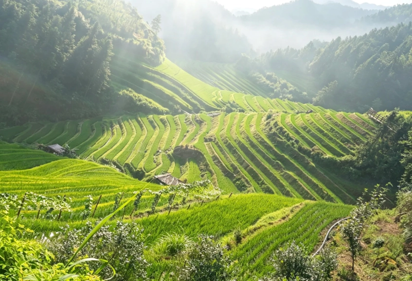 rural village tour china