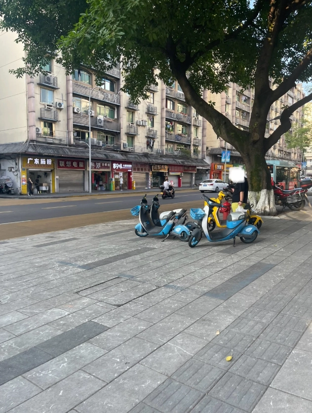 Chongqing public bike