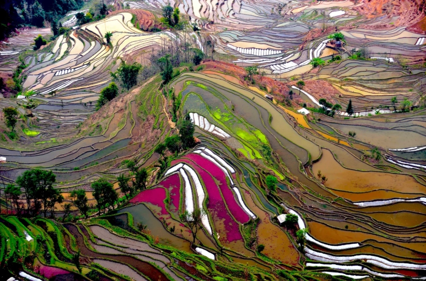 Yuanyang rice terraces best season Yuanyang rice terraces best season