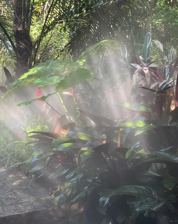 Xiamen Botanical Garden Tickets: Skip the Queue and Save Time