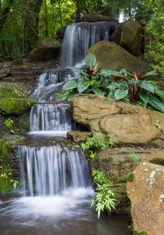 How to Get to Xiamen Botanical Garden: Fast & Easy Routes