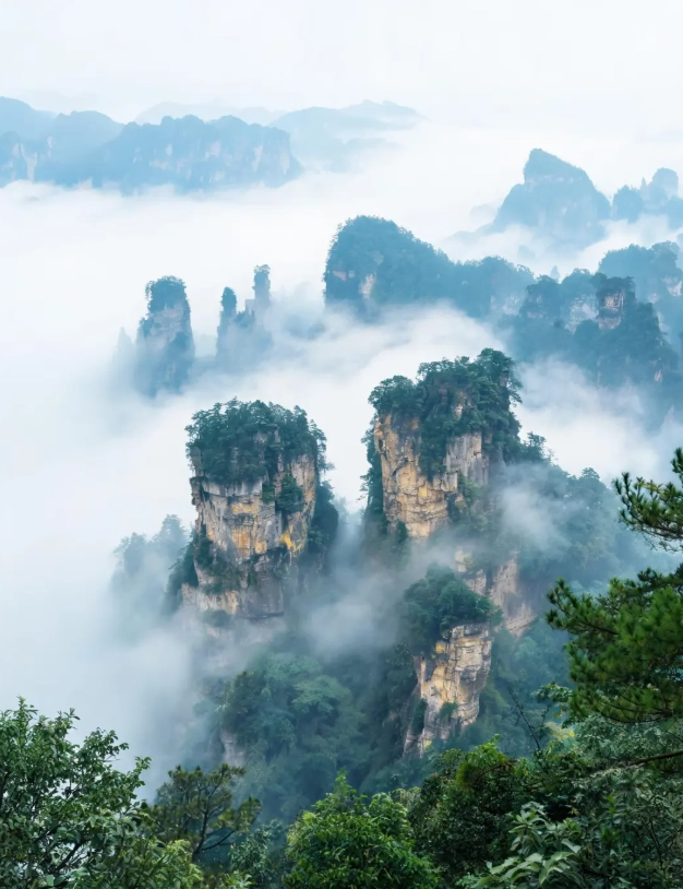 Zhangjiajie vs Guilin: Which Better Fits Your China Trip?