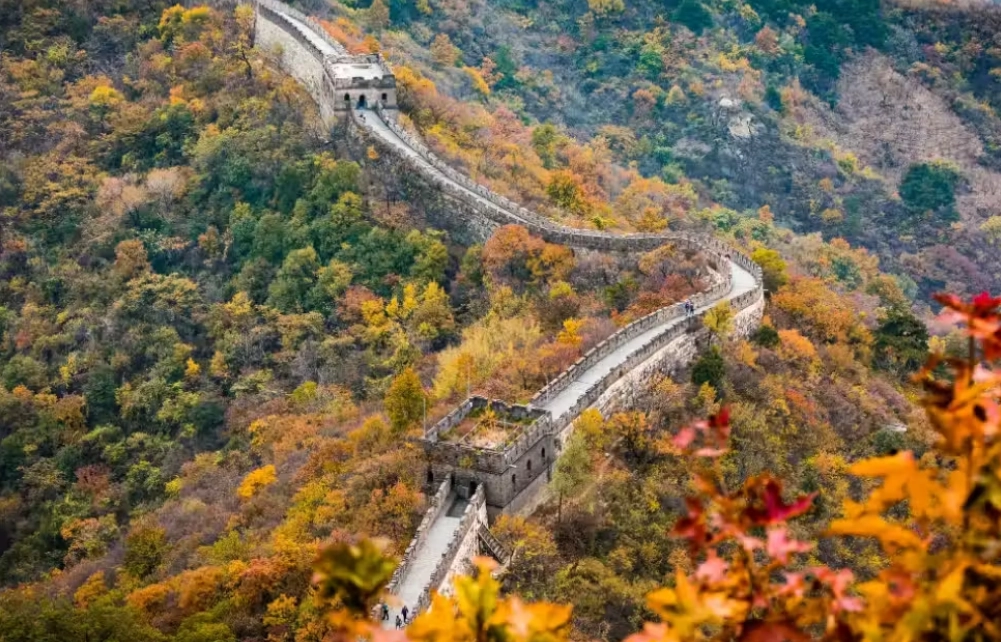 china digital booking wechat china digital booking wechat