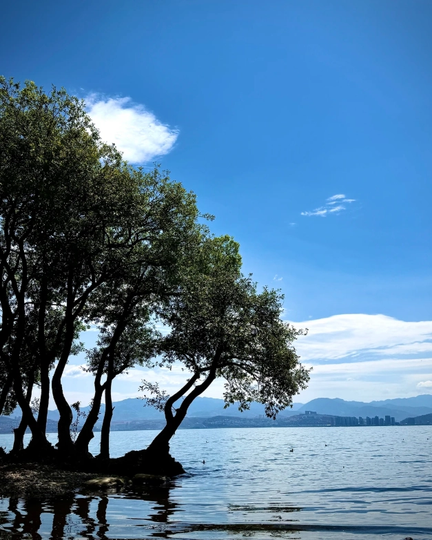 yunnan multi city tour