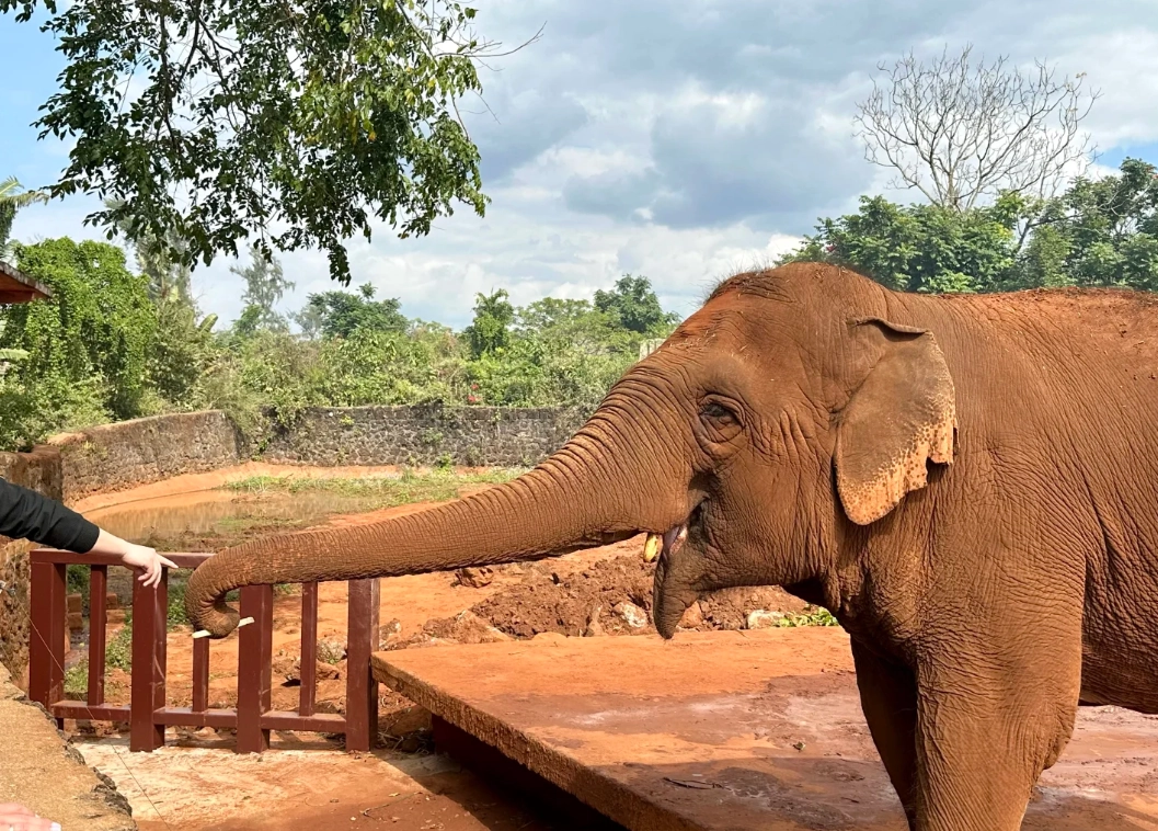Hainan Wildlife Park discount Hainan Wildlife Park discount