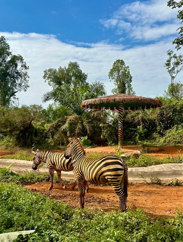 Hainan Tropical Wildlife Park booking Hainan Tropical Wildlife Park booking