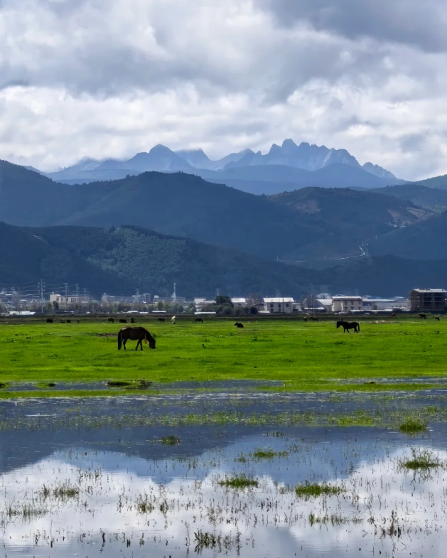 Best Shangri-La Travel Itinerary: 3 Days Without Crowds