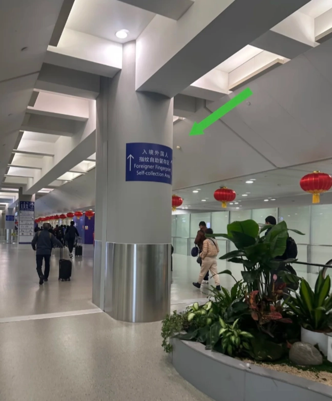 duty free allowance china duty free allowance china