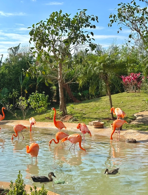 how to visit Hainan Wildlife Park how to visit Hainan Wildlife Park