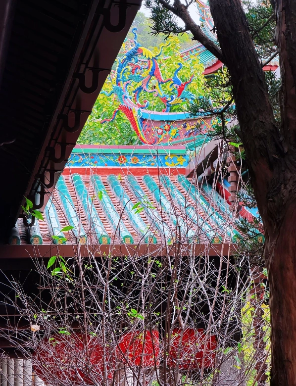 Nanputuo Temple opening hours