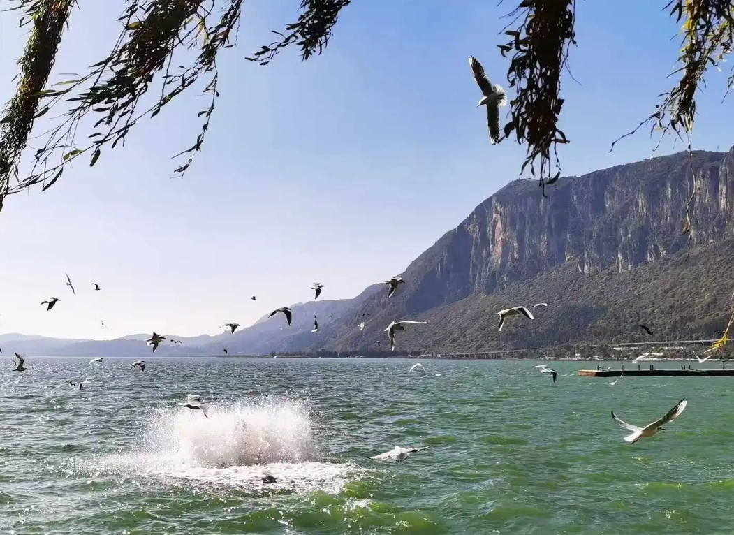 yunnan travel itinerary